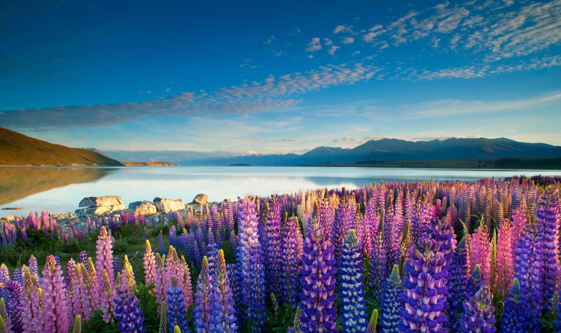 Tekapo1929 Lakefront Villa Lake Tekapo Exterior photo